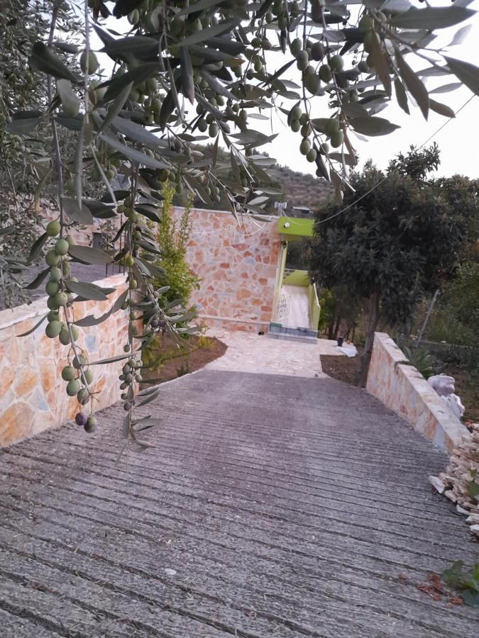 דירות Stalin Cortina House Berat מראה חיצוני תמונה