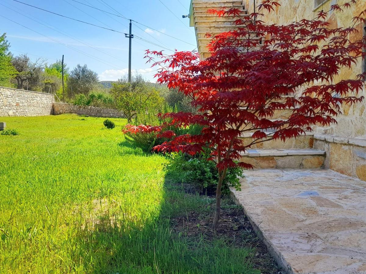 דירות Stalin Cortina House Berat מראה חיצוני תמונה